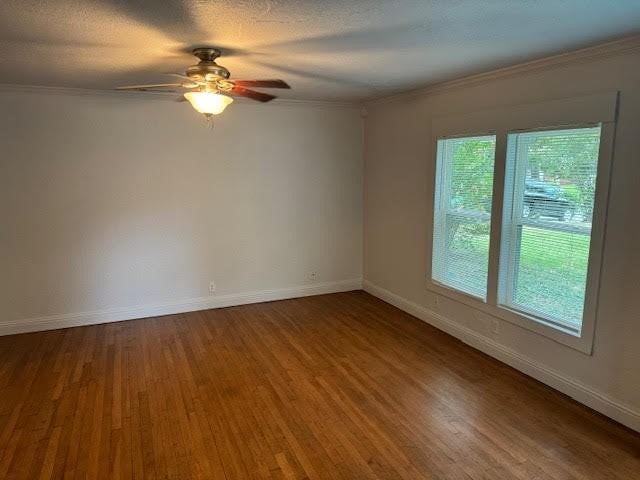 1216 Dora St - Photo 3 of 16