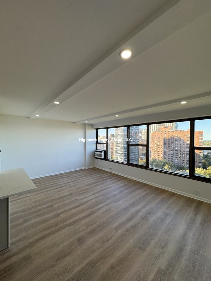 2970 N Lake Shore Dr #18AD - Photo 3 of 14