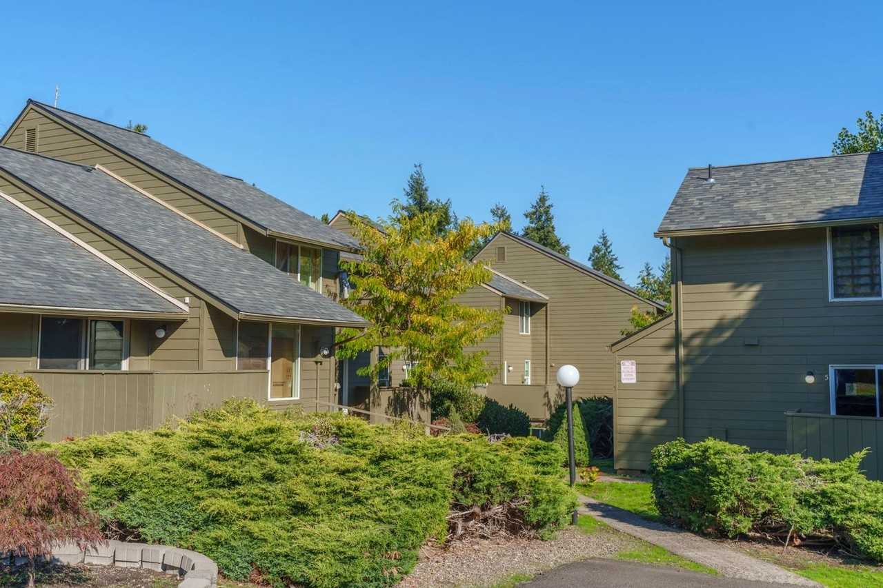 530-Elmwood Village - Photo 4 of 18