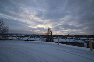 featured image of 1126 E 16th Ave #202