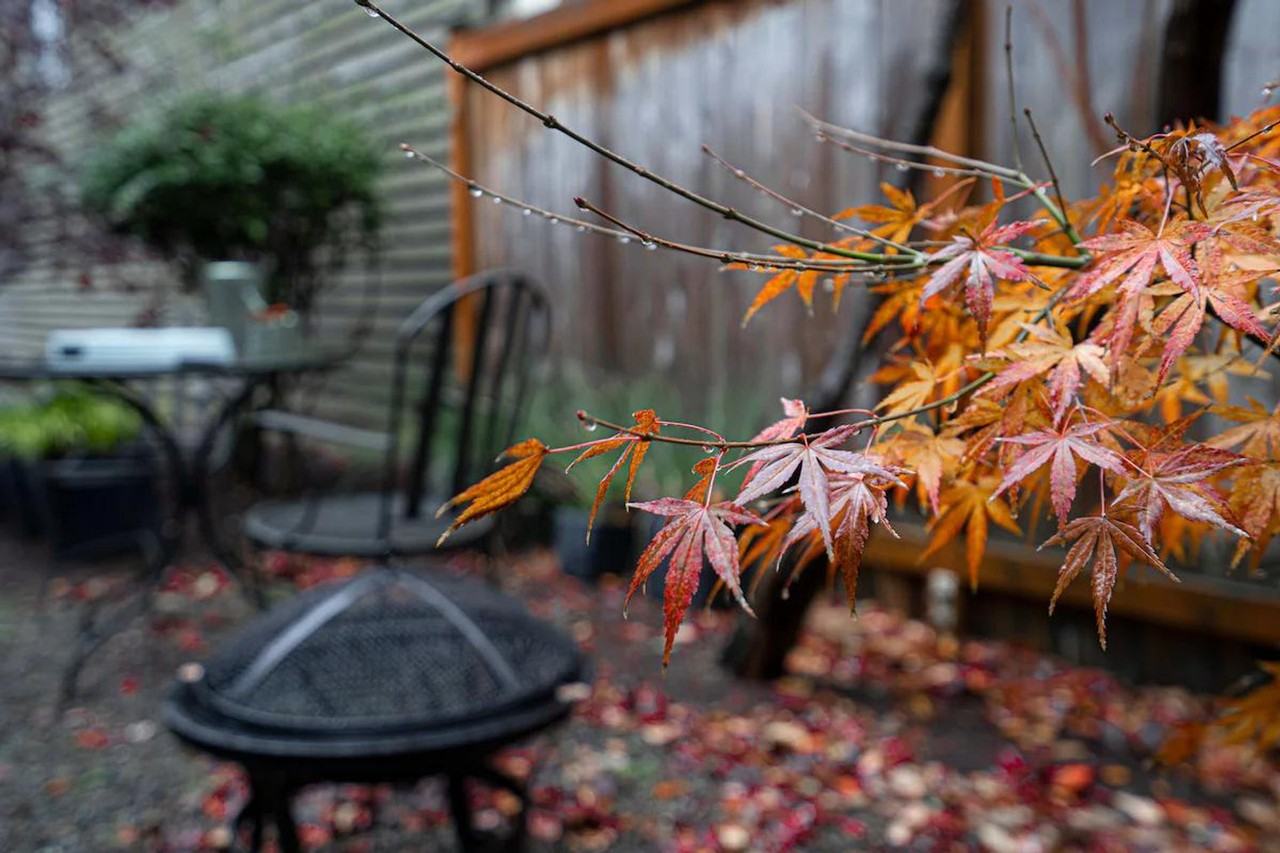 1208 E Thomas St #1324809P - Photo 5 of 24