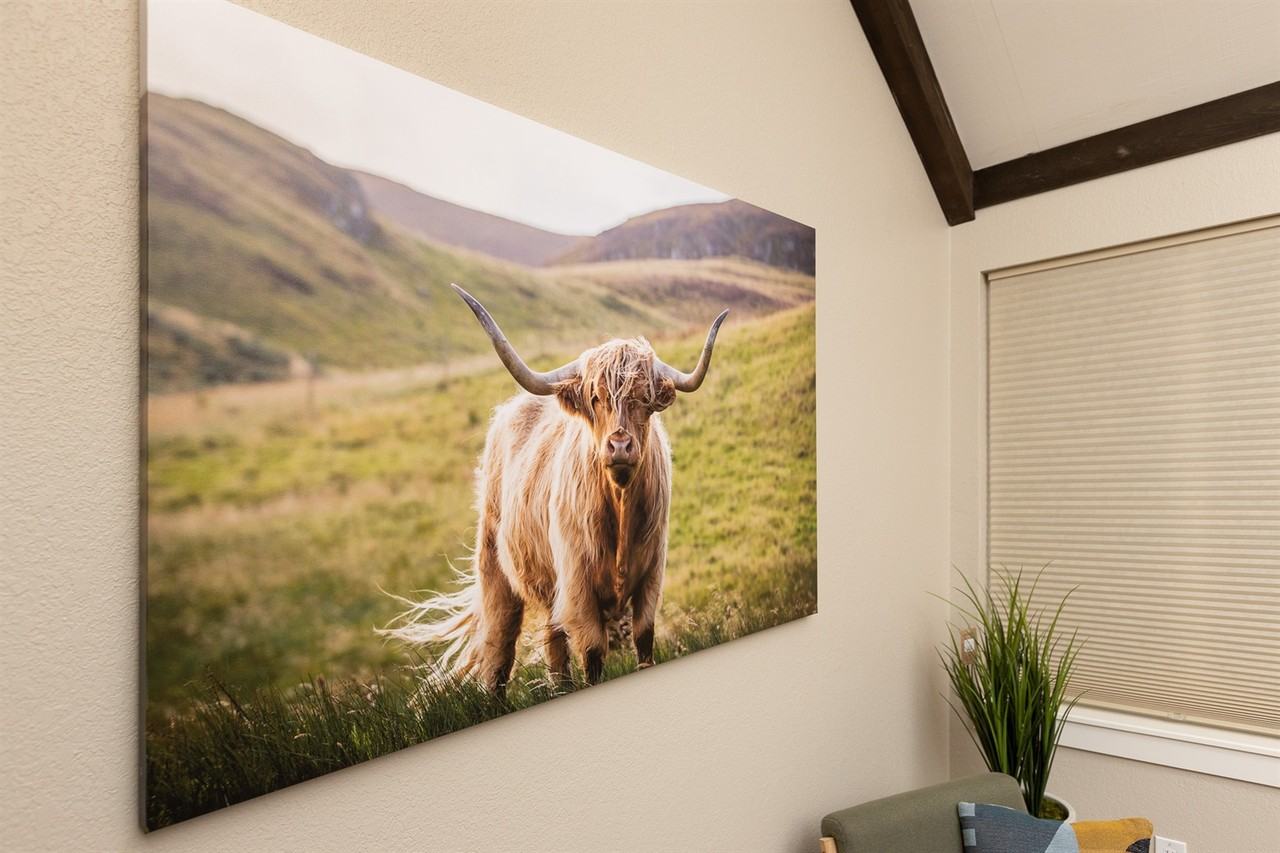 714 N Beachwood St #NA - Photo 7 of 44