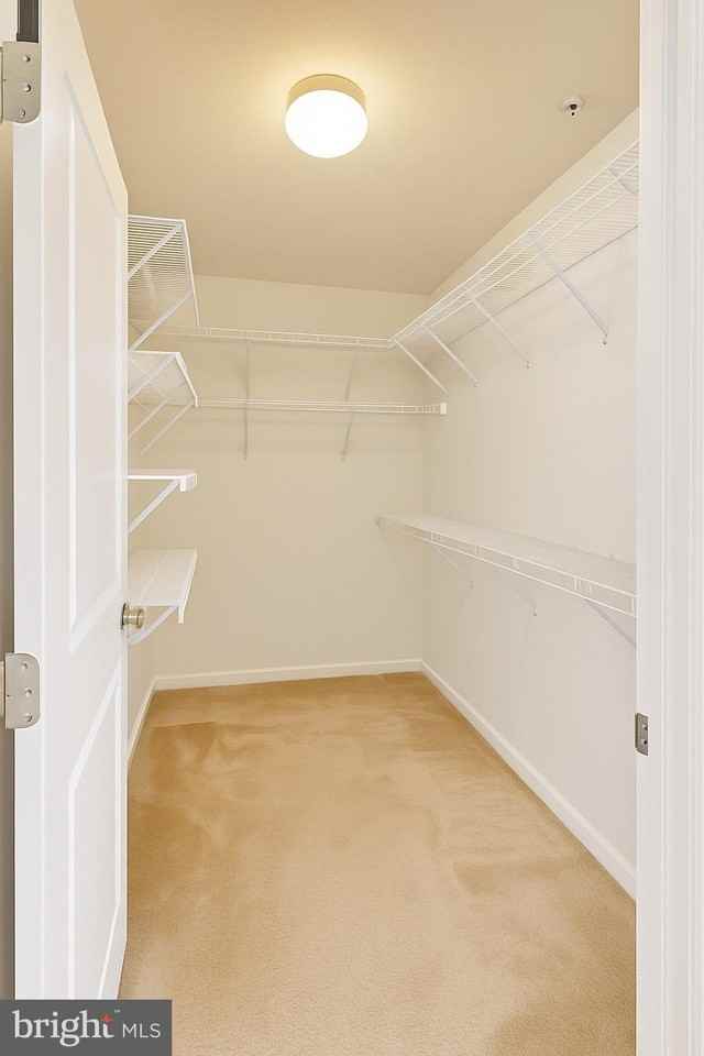 3232 Careysbrook Ct - Photo 6 of 9