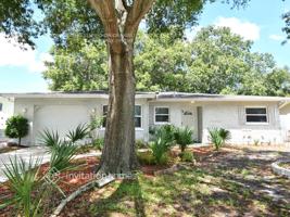 featured image of 221 Morgan Ct