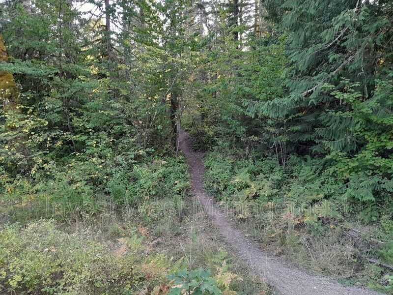 626 Silverbrook Rd - Photo 4 of 19