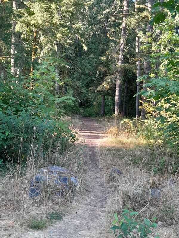 626 Silverbrook Rd - Photo 6 of 19