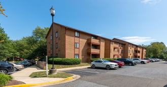 Birches - Photo 1 of 1