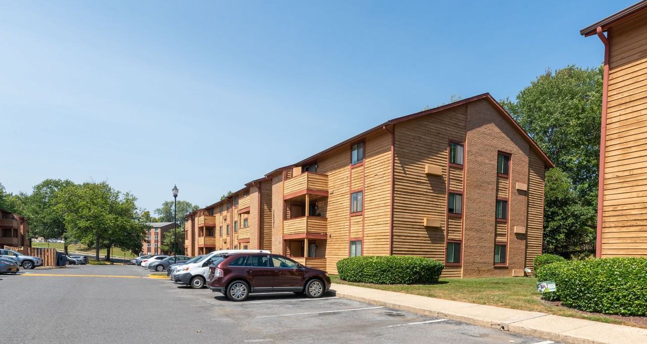 Birches - Photo 2 of 24