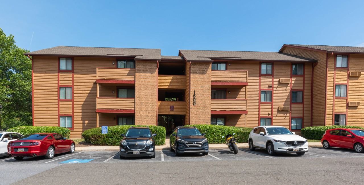 Birches - Photo 3 of 24