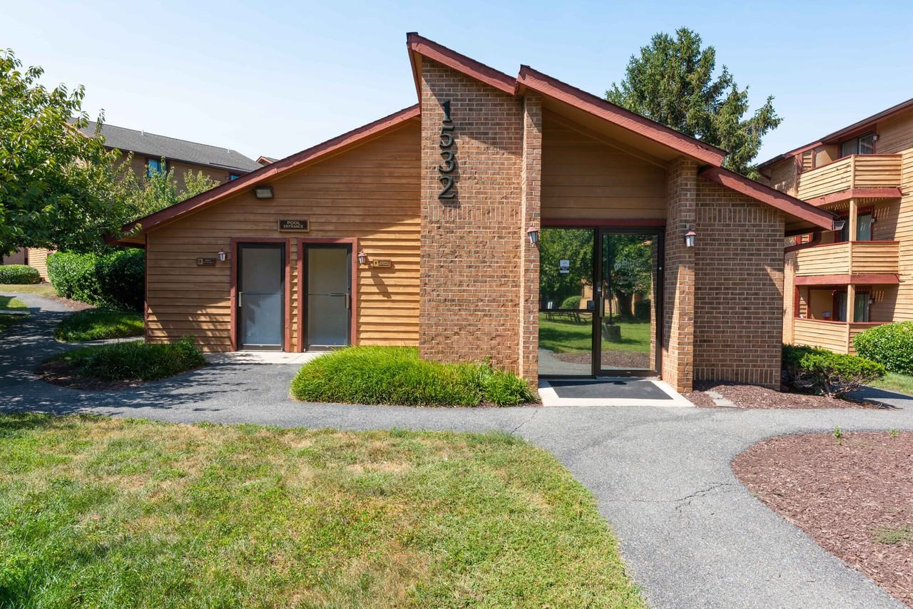 Birches - Photo 4 of 24