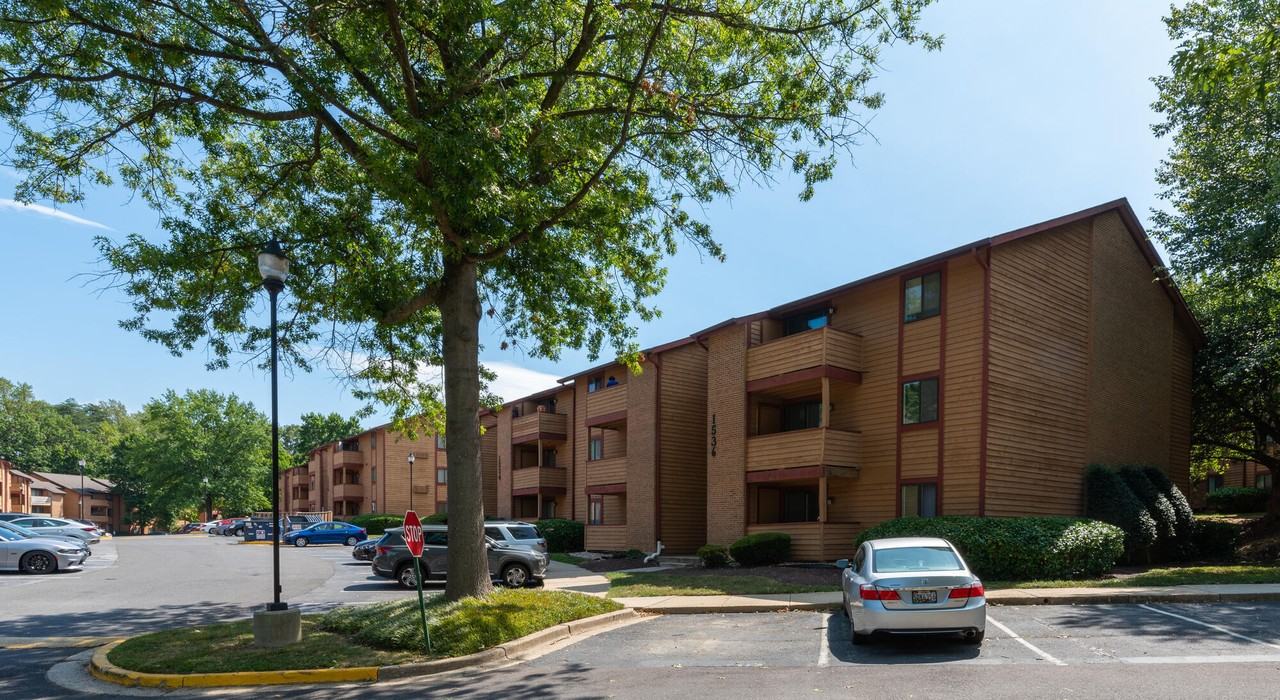 Birches - Photo 5 of 24