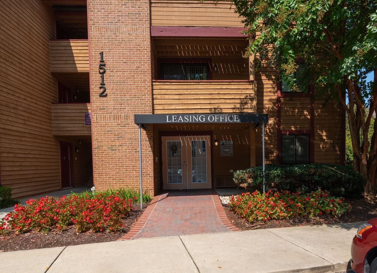 Birches - Photo 6 of 24