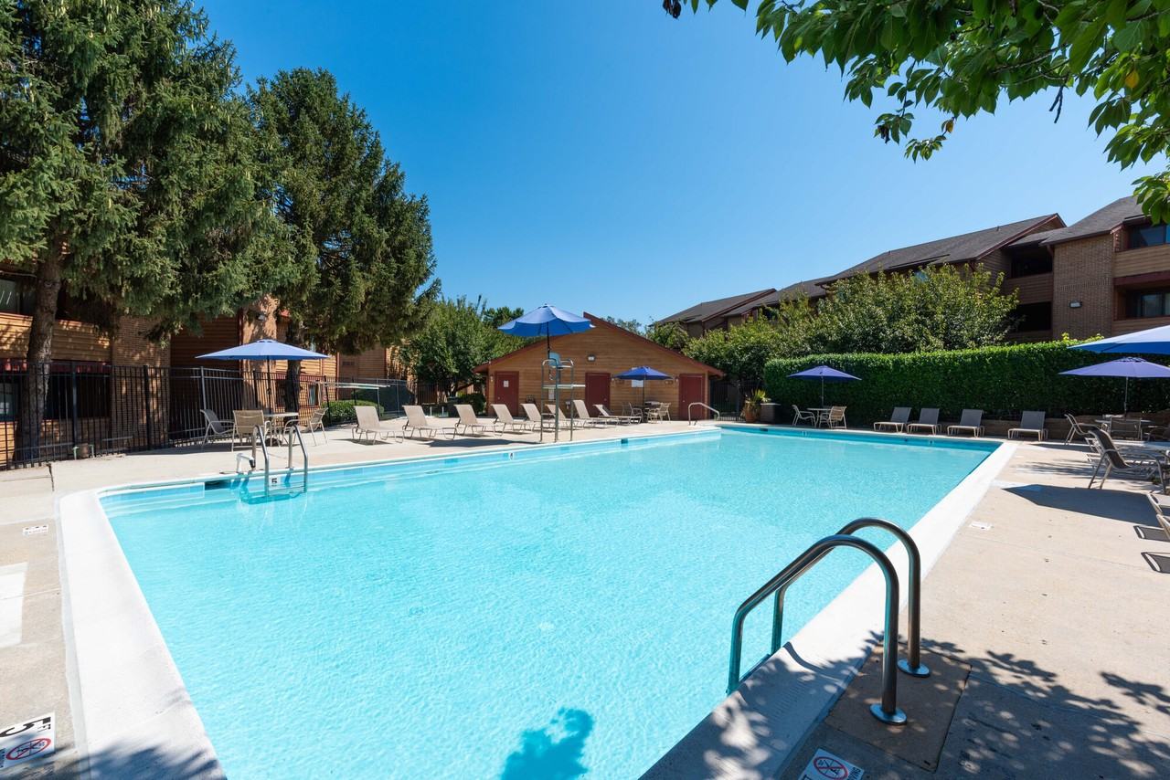 Birches - Photo 7 of 24