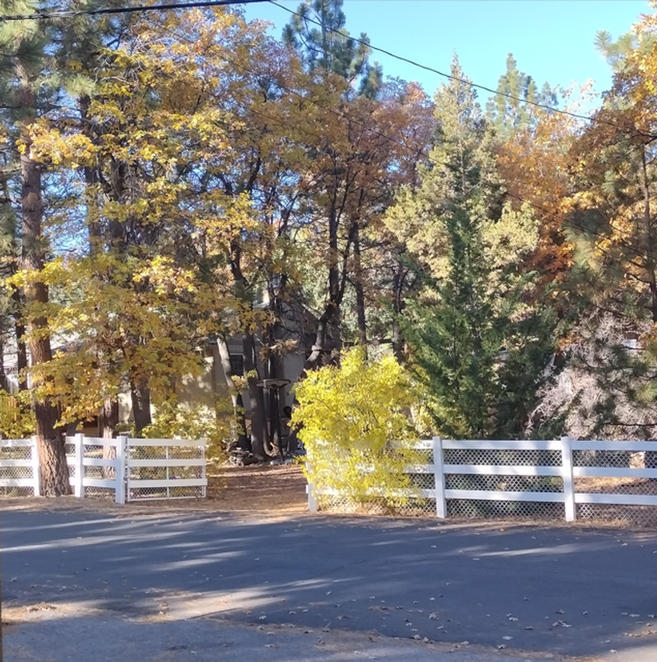 455 Kern Ave - Photo 4 of 12