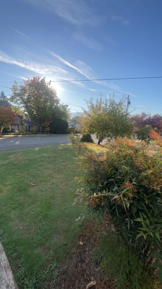 1002 Ne 8th St - Photo 4 of 17