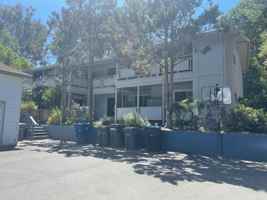 featured image of Pitt Avenue