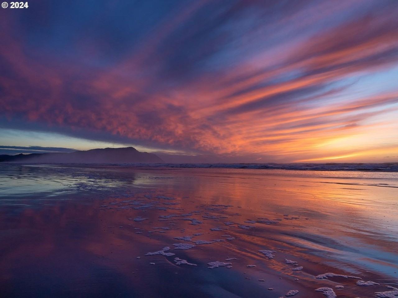 849 1st Ave - Photo 6 of 40