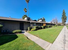 The Village Arms - Photo 1 of 1