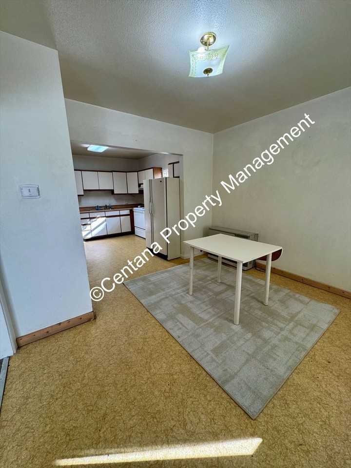 530 N Franklin St - Photo 3 of 38