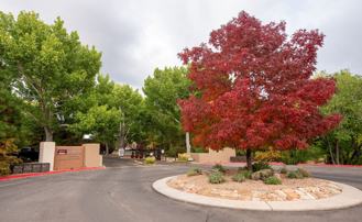 941 Calle Mejia #326 - Photo 1 of 1