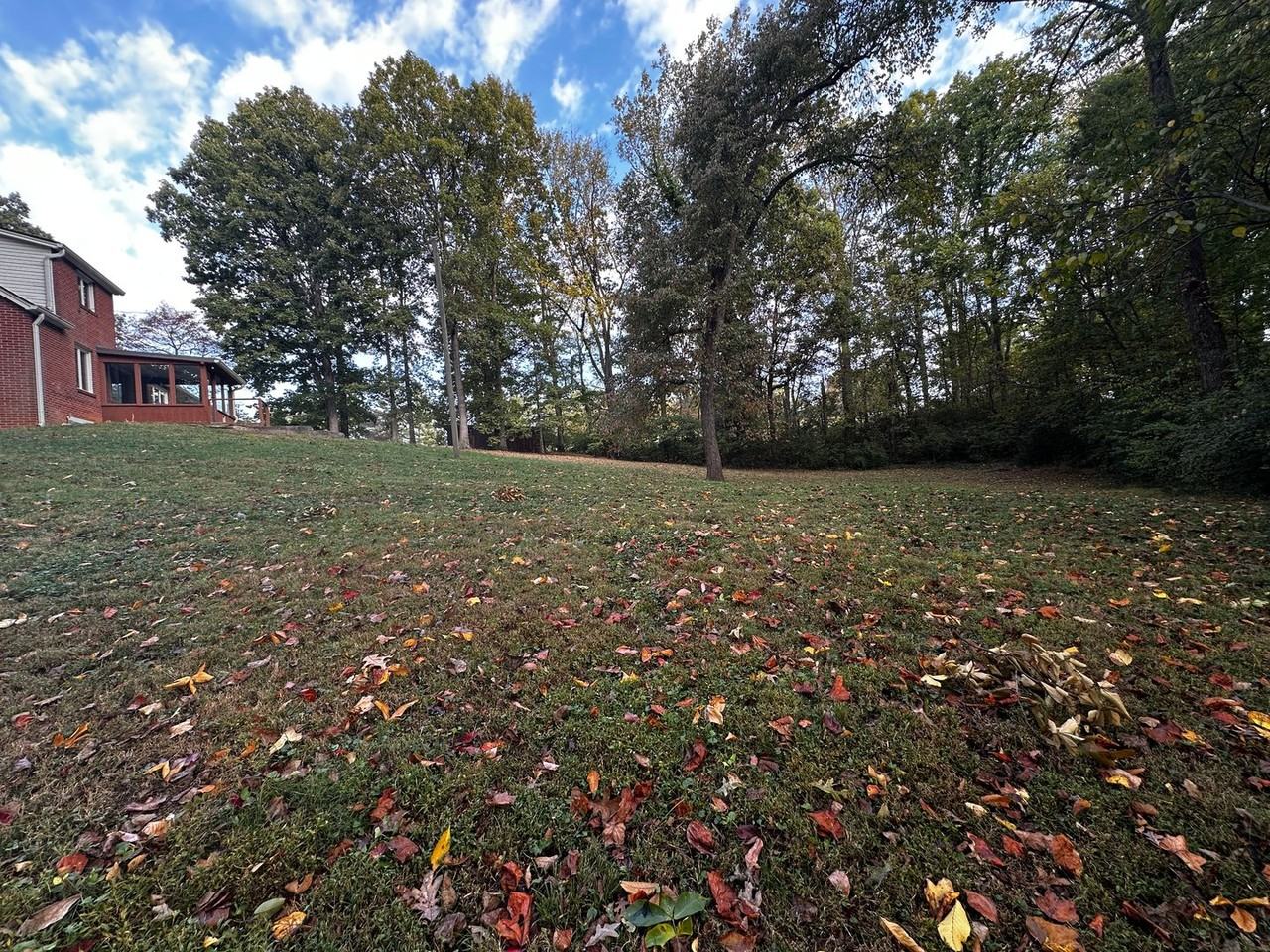 5217 Old White Pine Rd - Photo 6 of 50