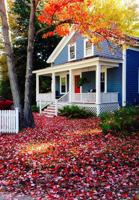 featured image of 13 Thompson St