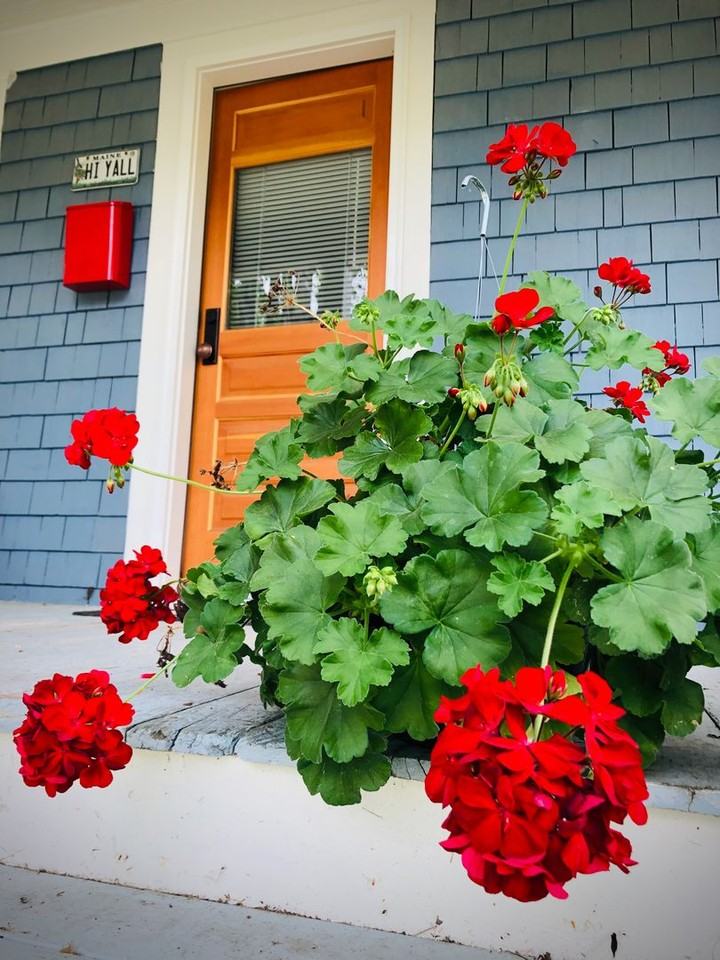 13 Thompson St - Photo 4 of 22