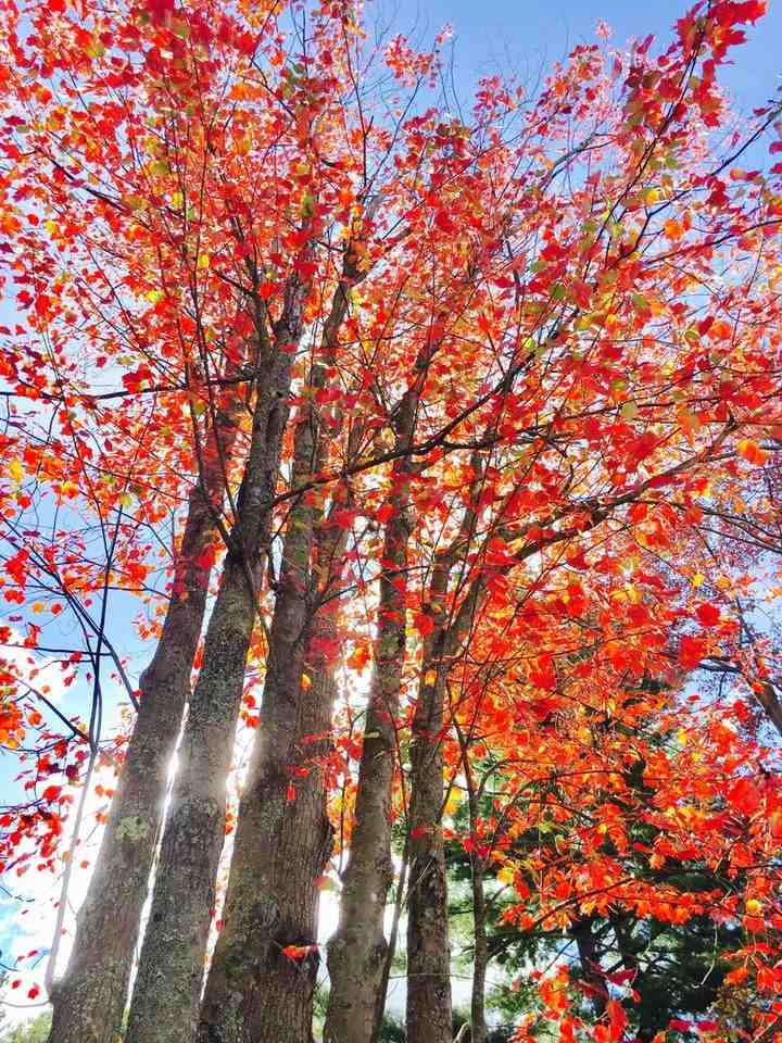 13 Thompson St - Photo 5 of 22