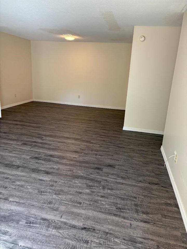 219 Murphy Mill Rd Apt A - Photo 5 of 20