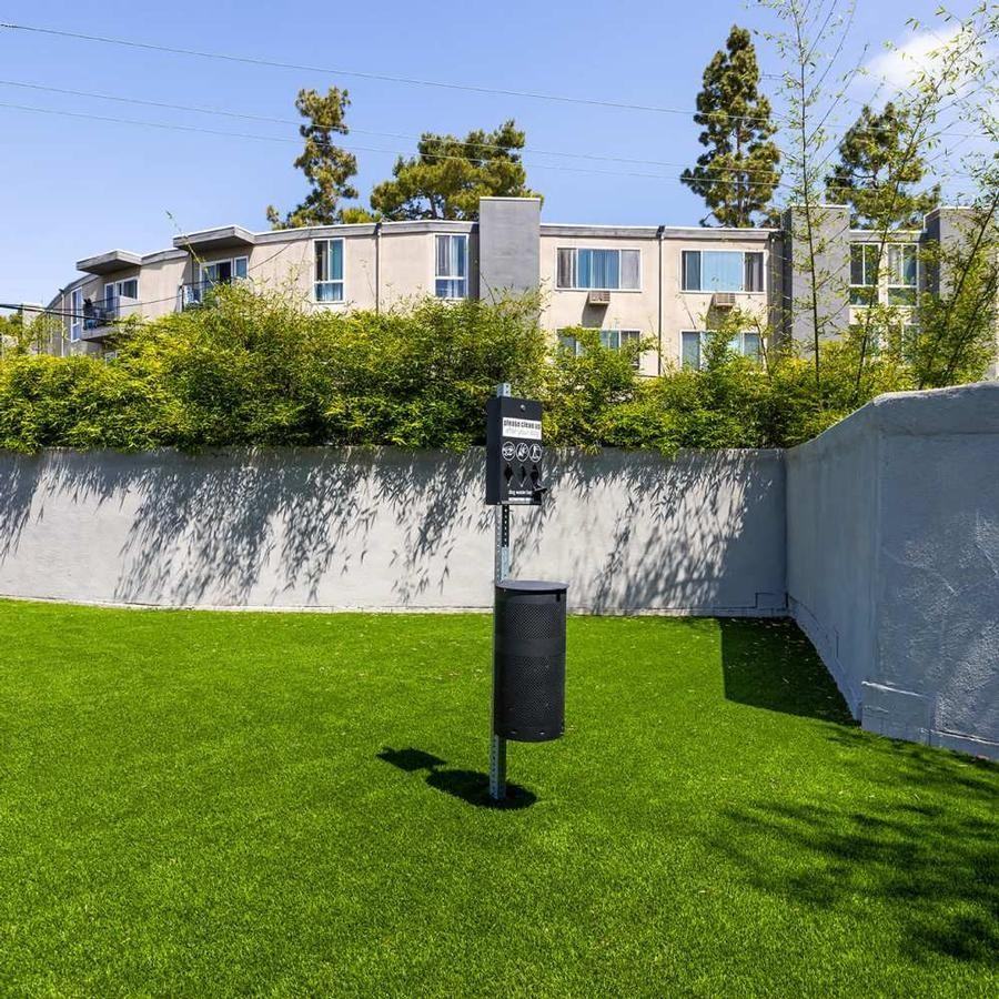 4981 Catoctin Dr - Photo 4 of 18