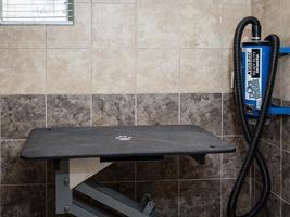 featured image of 8200 Arista Place