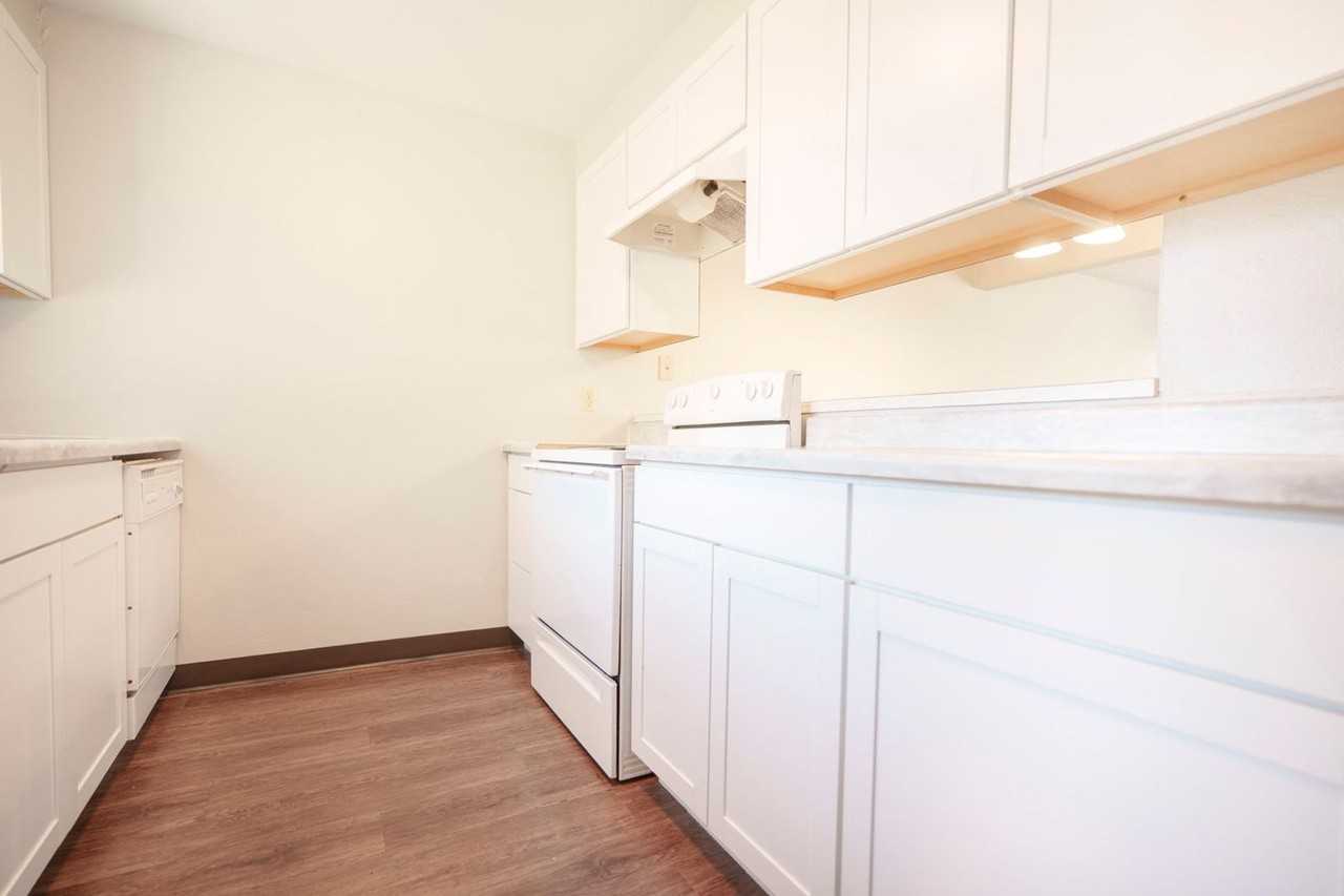 530-Elmwood Village - Photo 6 of 23