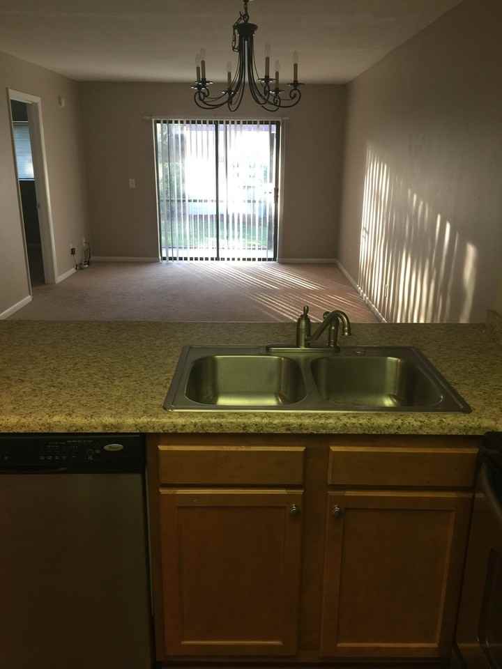 4317 Holly Tree Rd - Photo 6 of 17