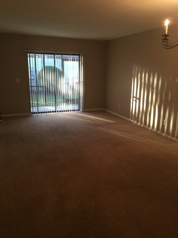 4317 Holly Tree Rd - Photo 7 of 17