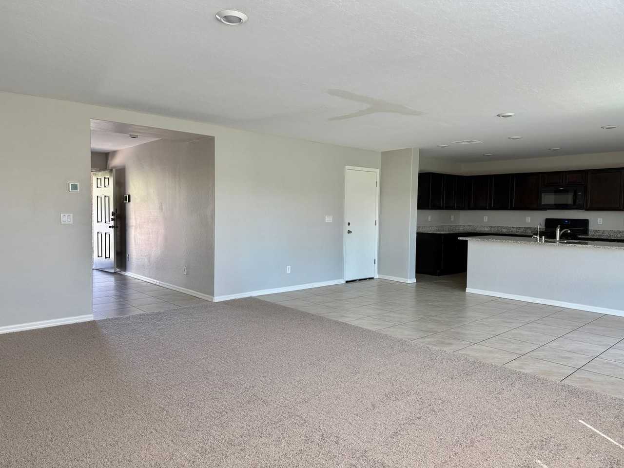 4563 Cotton Quail Ave - Photo 2 of 35