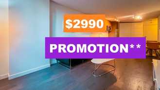 1009 Harwood Street #509 - Photo 1 of 1