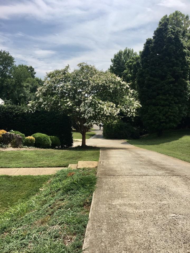 2421 Old Forest Rd - Photo 6 of 7