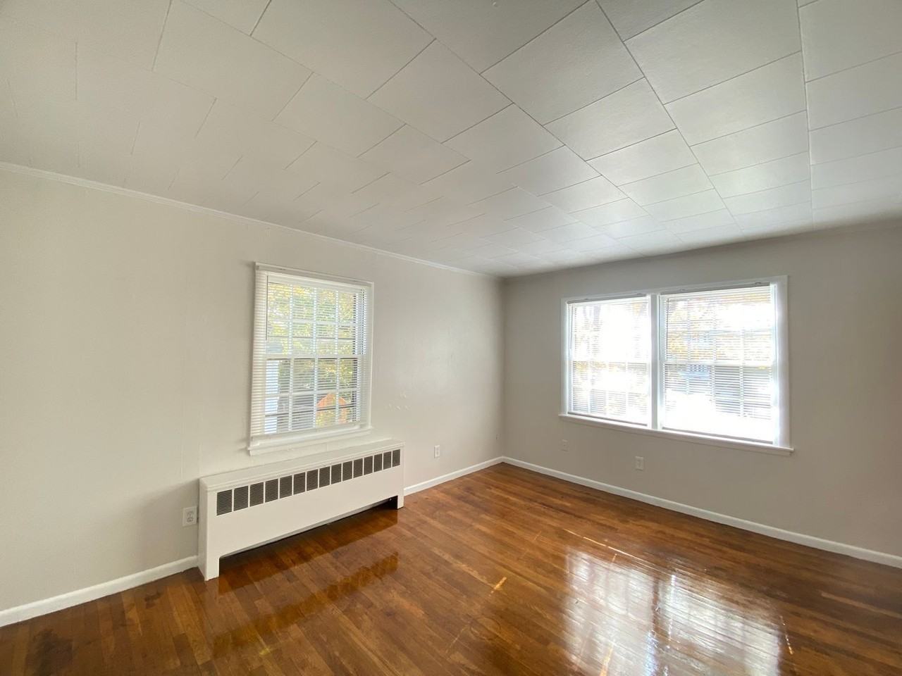 118 Locust St #D - Photo 6 of 15