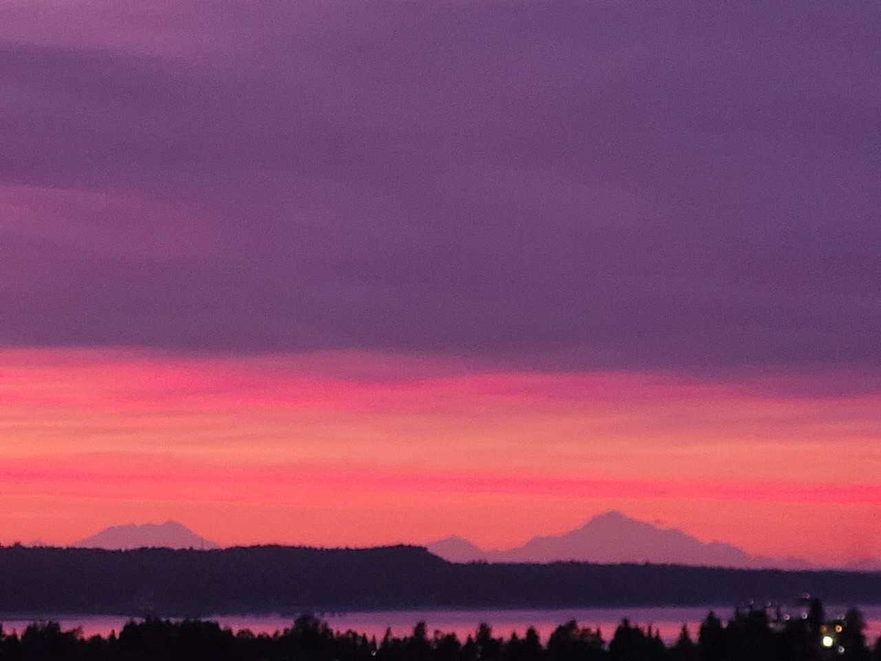 McKinley Tower Apartments - Photo 3 of 14