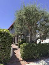 209 Ruby Ave - Photo 1 of 1