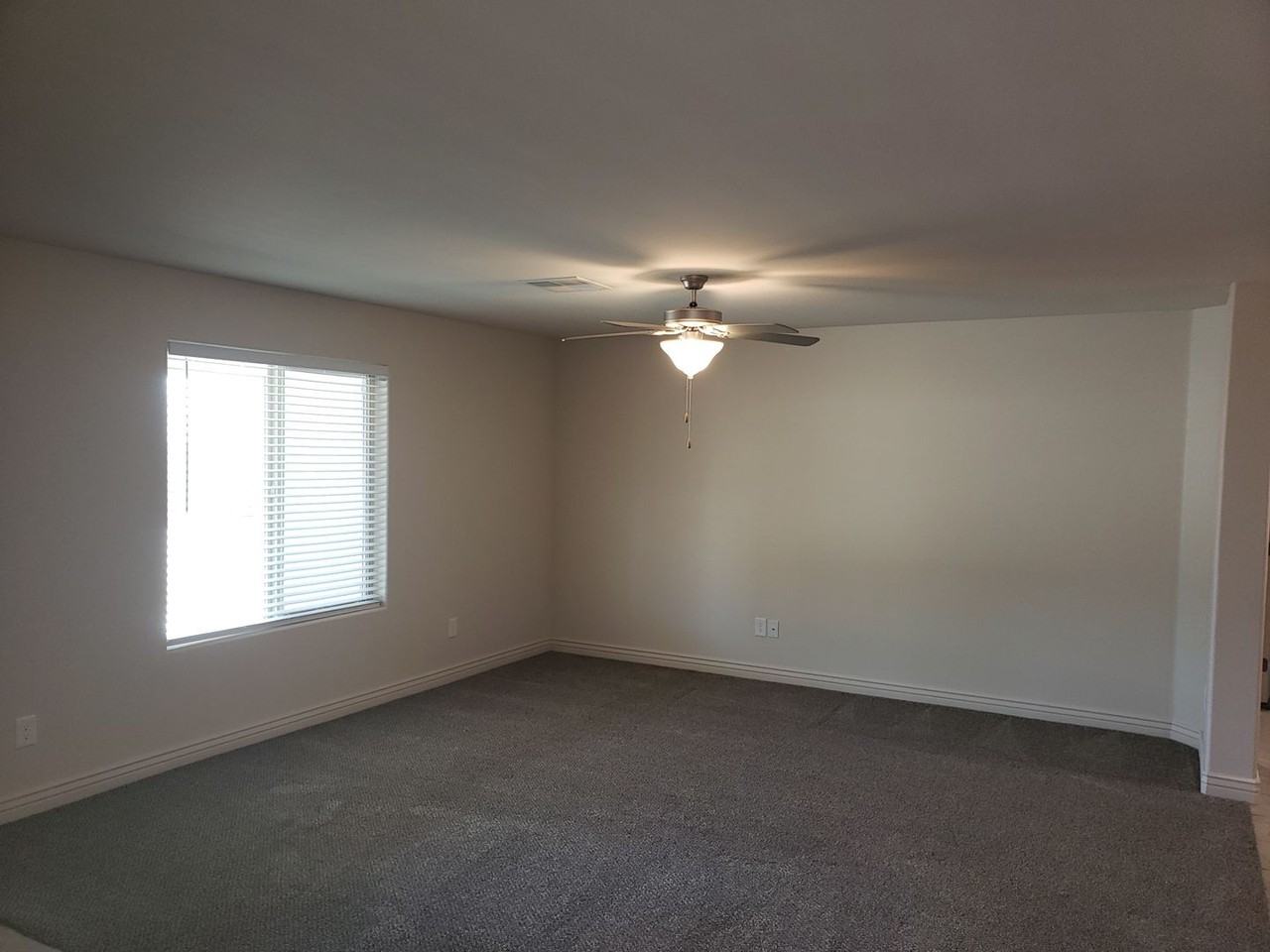 11389 S Avenida Compadres - Photo 3 of 26