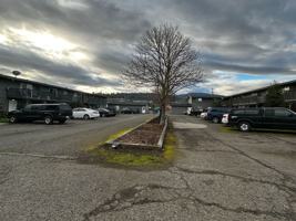 featured image of 703 E Cedar St