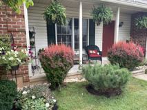 17036 2039 - Photo 1 of 1