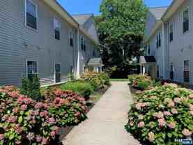 47 Central Ave ## 53 - Photo 1 of 1