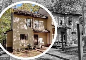 featured image of 44678 Willow Oak Ct