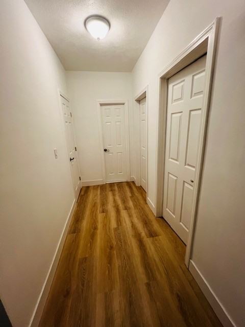 114 Norway St #205 - Photo 4 of 10