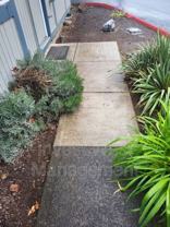 2809 Estreet #A - Photo 1 of 1