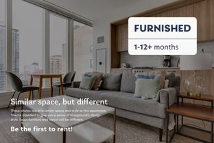 1000 South Michigan Avenue - Photo 1 of 1