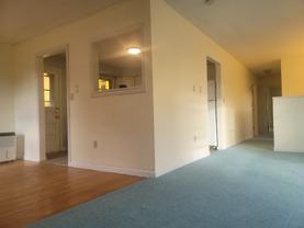 62 Venus Ave - Photo 1 of 1