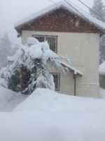 featured image of 4005 Cedar Ave #5